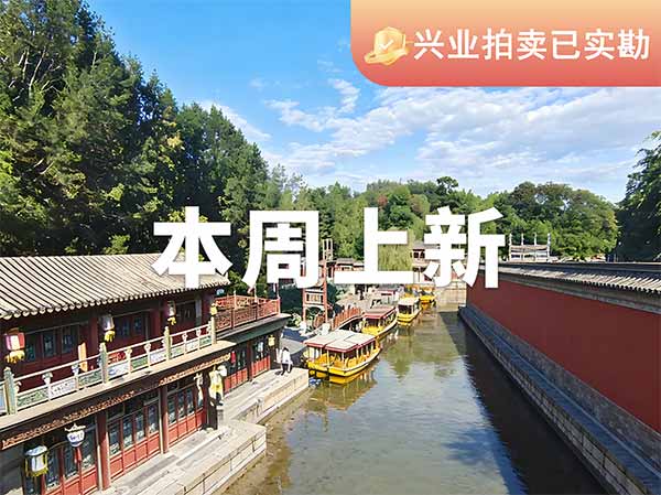 本周上新